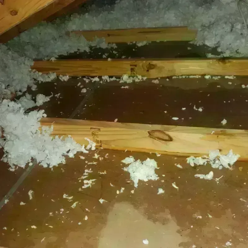 Attic Water Damage in Godley, TX